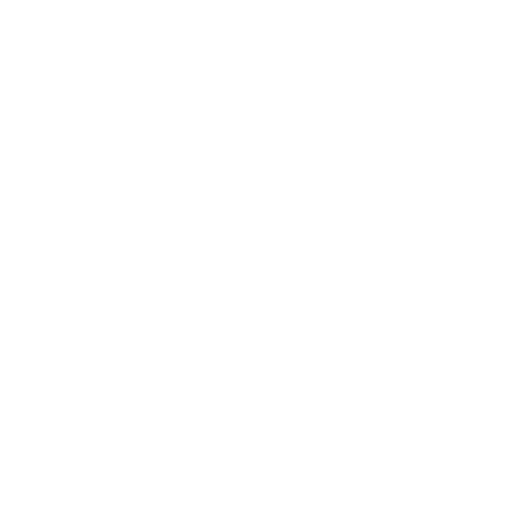 Twitter icon