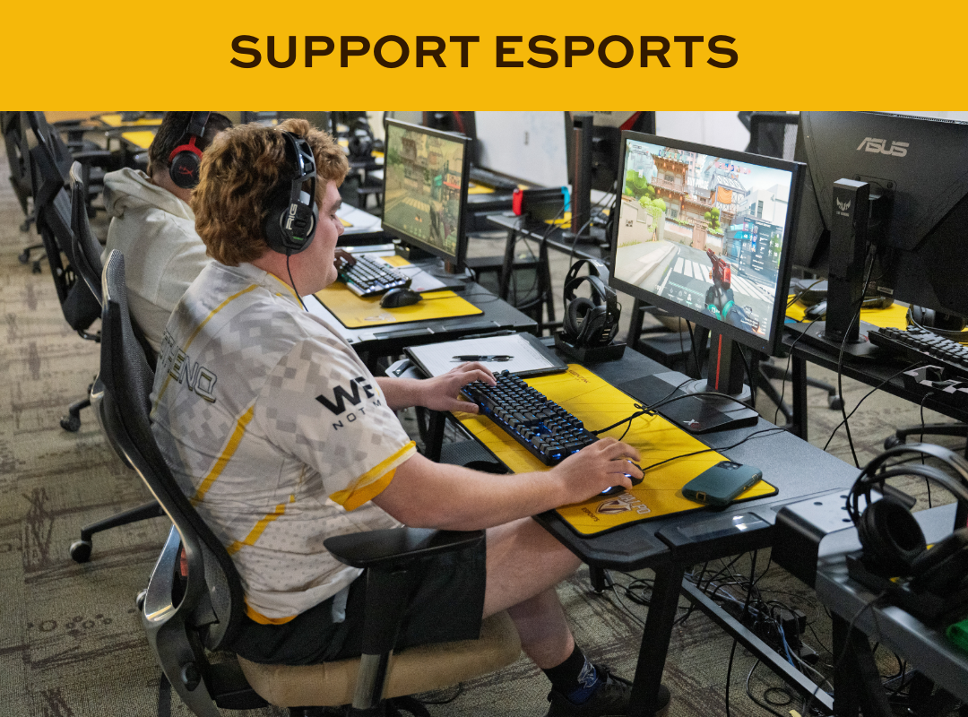 Support Esports